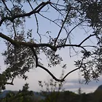 アパート A Casa Montegrino Valtravaglia