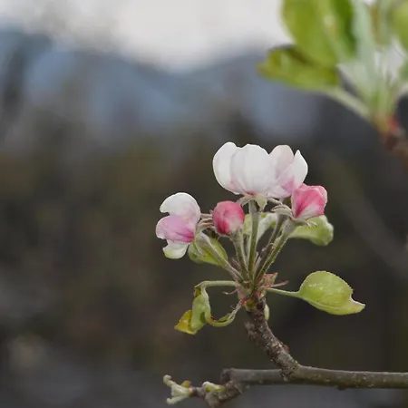 A Casa * Montegrino Valtravaglia