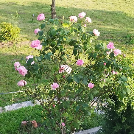 A Casa Apartman Montegrino Valtravaglia