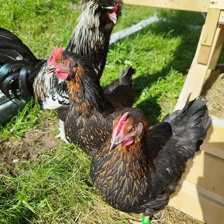 Apartman A Casa Montegrino Valtravaglia