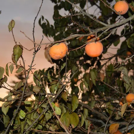 A Casa Apartman Montegrino Valtravaglia