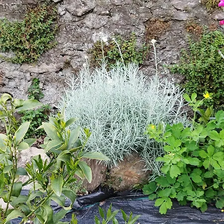 A Casa Montegrino Valtravaglia