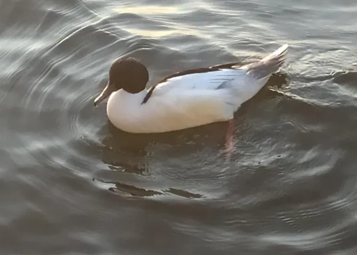 Apartman A Casa Montegrino Valtravaglia