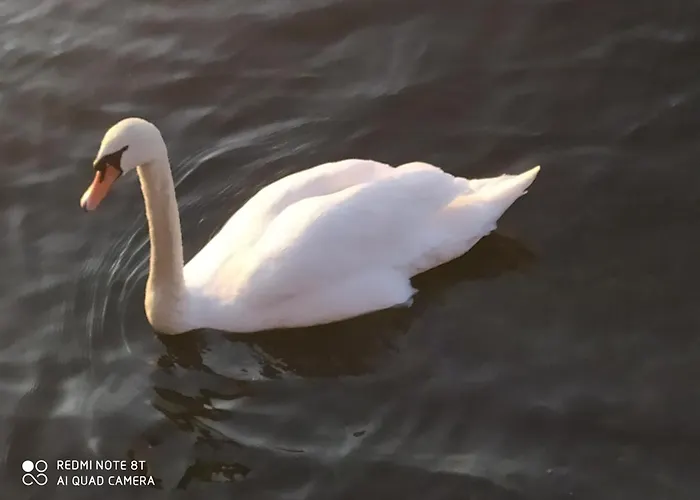 A Casa Montegrino Valtravaglia