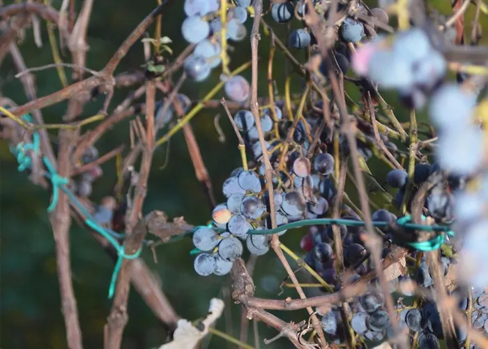 A Casa Montegrino Valtravaglia