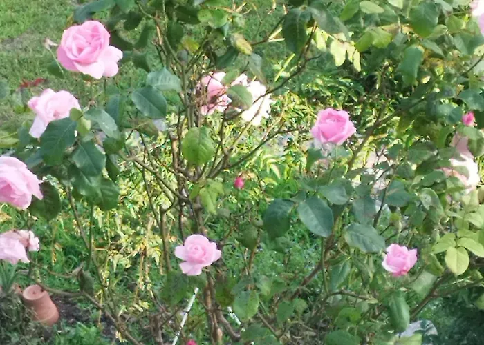 A Casa * Montegrino Valtravaglia