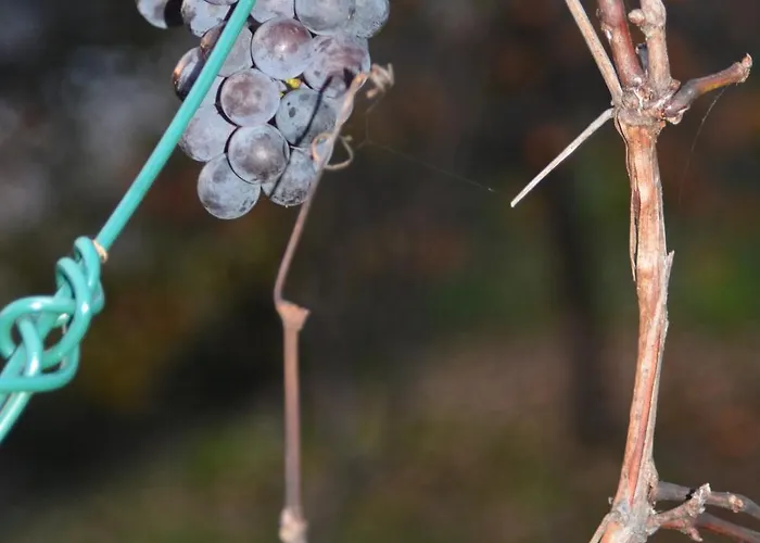 Apartman A Casa Montegrino Valtravaglia