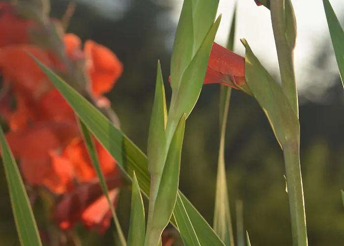 A Casa * Montegrino Valtravaglia