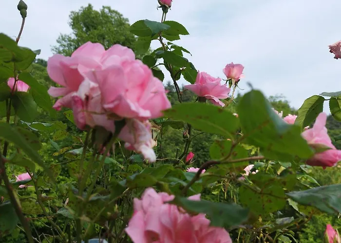 A Casa Montegrino Valtravaglia