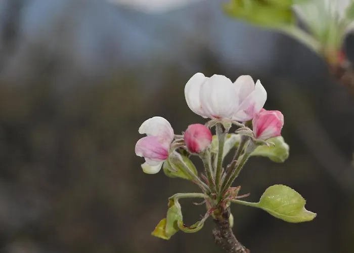 A Casa * Montegrino Valtravaglia
