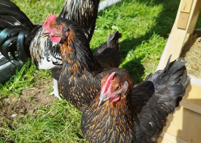 Apartman A Casa Montegrino Valtravaglia