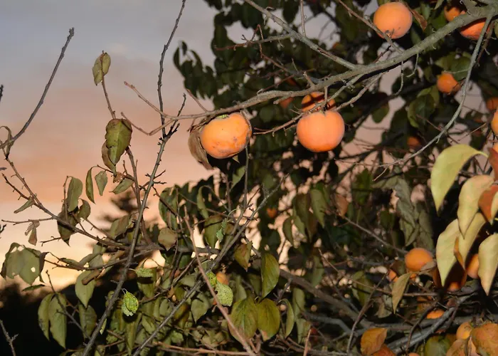 A Casa Apartman Montegrino Valtravaglia